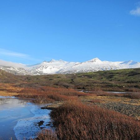 Brekka I Loni Farm Stay Stafafell Dış mekan fotoğraf