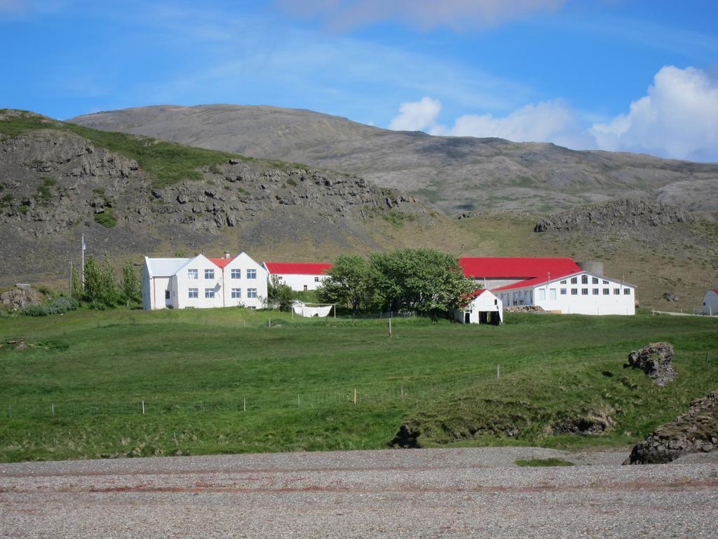 Brekka I Loni Farm Stay Stafafell Dış mekan fotoğraf